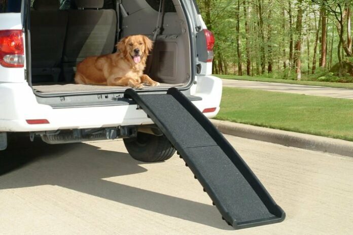 How To Make Portable Dog Ramps For Cars, Buses & Trucks